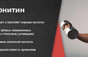 L-карнитин для похудения: правда и мифы — разбор состава L-карнитин для похудения: правда и мифы — разбор состава