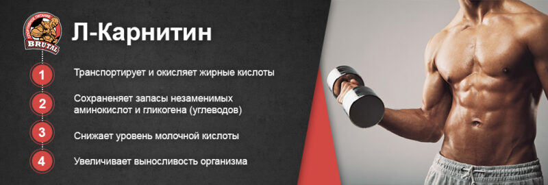 L-карнитин для похудения: правда и мифы — разбор состава