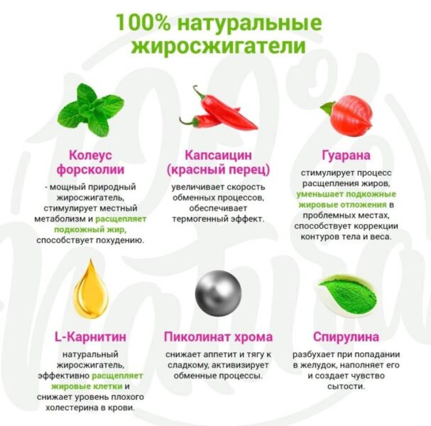 Натуральные жиросжигатели: какие вещества реально ускоряют сжигание жира