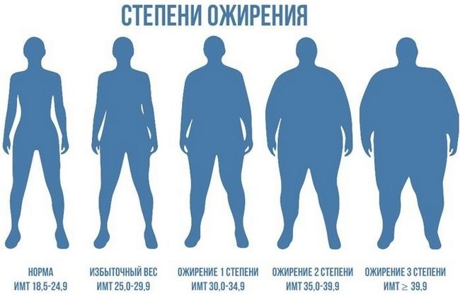 Гормоны и лишний вес: как щитовидная железа, кортизол и инсулин мешают худеть гормоны и лишний вес Гормоны и лишний вес: как щитовидная железа, кортизол и инсулин мешают худеть гормоны и лишний вес