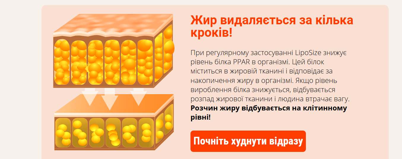 LipoSize