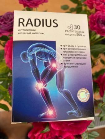 СУставы, Radius СУставы, Radius