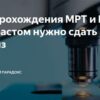 Наша команда