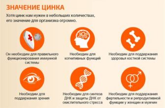 Как дефицит цинка влияет на уровень тестостерона у мужчин Как дефицит цинка влияет на уровень тестостерона у мужчин