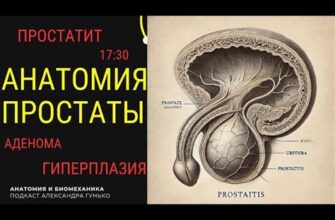 Простатит у мужчин до 35 лет становится частым диагнозом