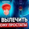 Монастырская Травница