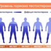 Змеетоник Вено плюс
