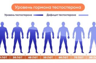 Тестостерон и потенция у мужчин - влияние гормона на эрекцию